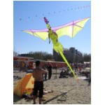 Cervia 2007